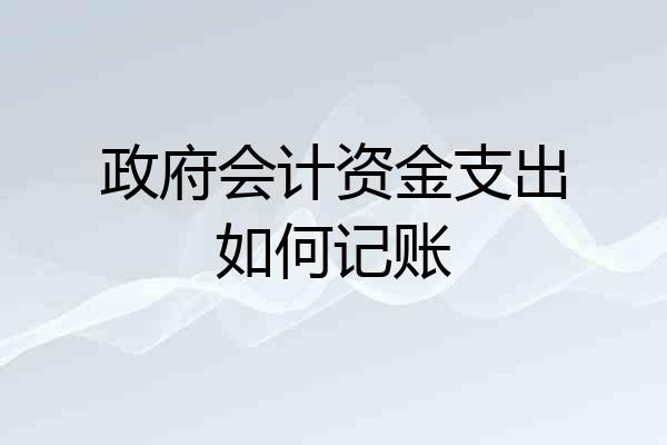 政府会计资金支出如何记账
