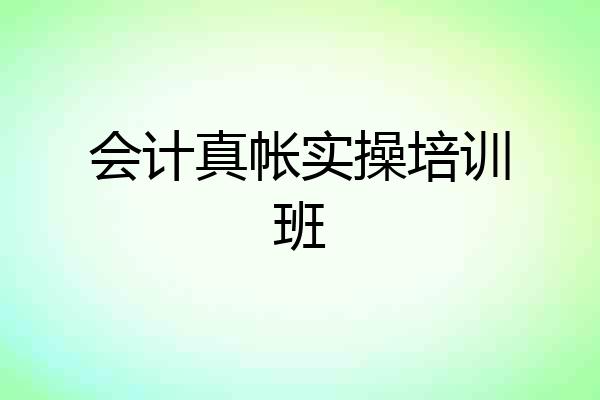 会计真帐实操培训班