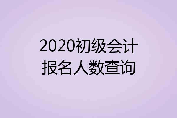 2020初级会计报名人数查询