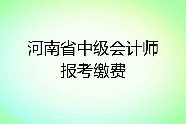 河南省中级会计师报考缴费