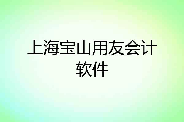 上海宝山用友会计软件