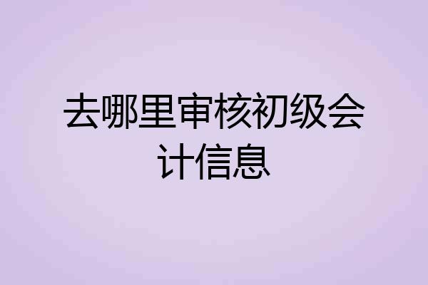 去哪里审核初级会计信息