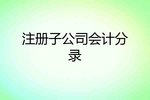 注册子公司会计分录