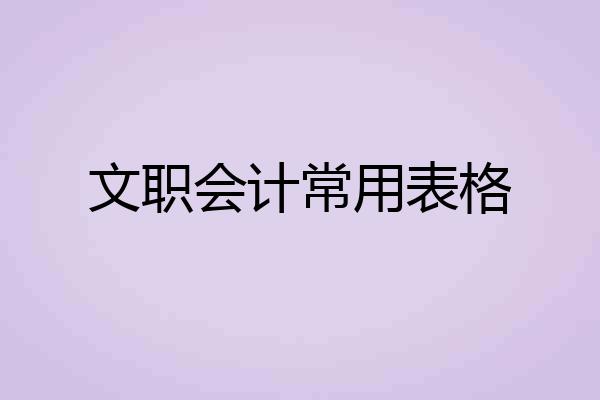 文职会计常用表格