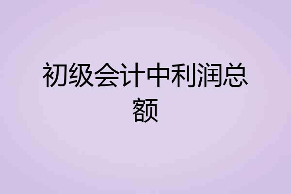 初级会计中利润总额