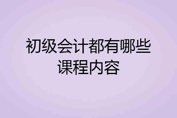 初级会计都有哪些课程内容