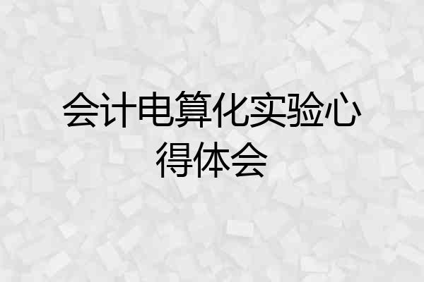 会计电算化实验心得体会