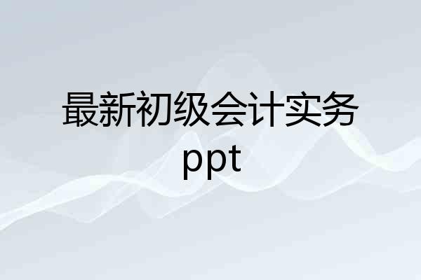 最新初级会计实务ppt