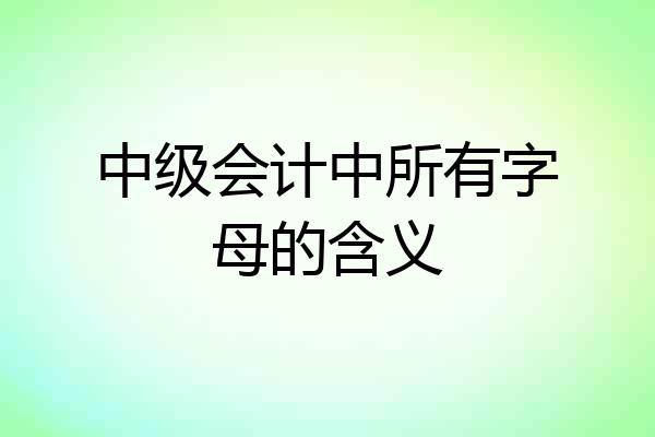 中级会计中所有字母的含义