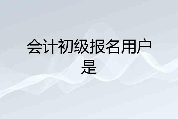 会计初级报名用户是