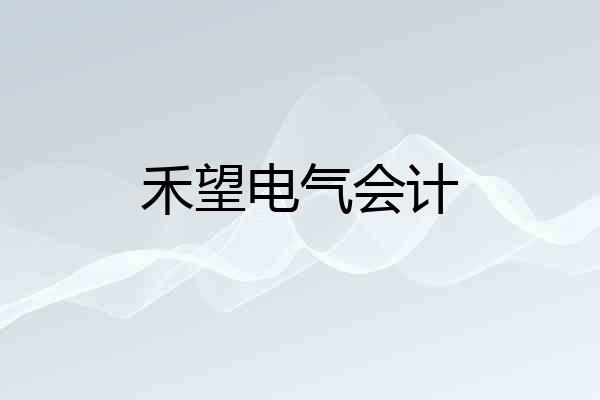 禾望电气会计