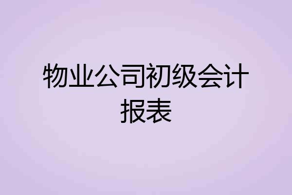 物业公司初级会计报表