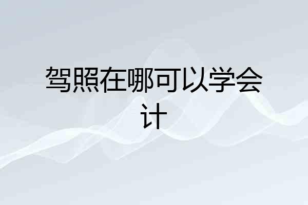 驾照在哪可以学会计