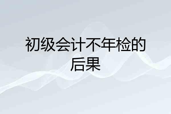 初级会计不年检的后果