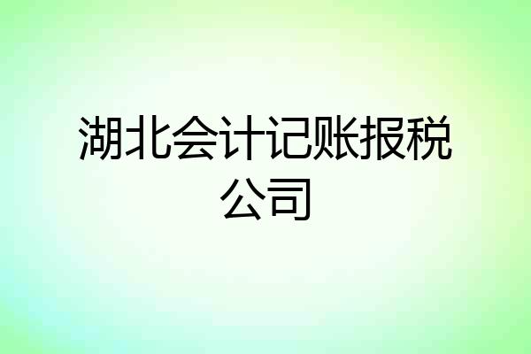 湖北会计记账报税公司