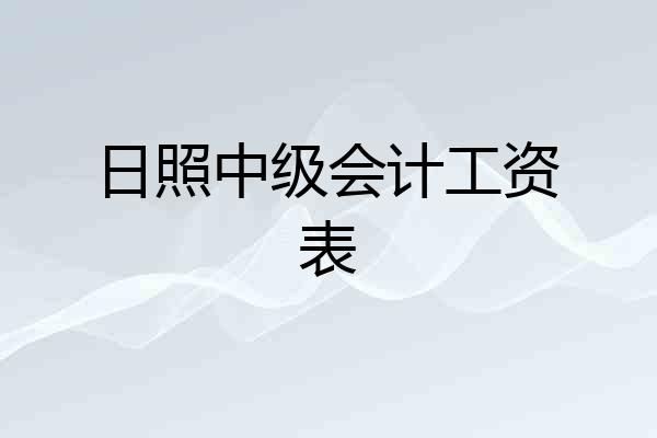 日照中级会计工资表