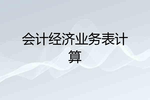 会计经济业务表计算