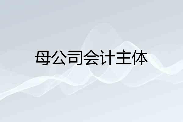 母公司会计主体