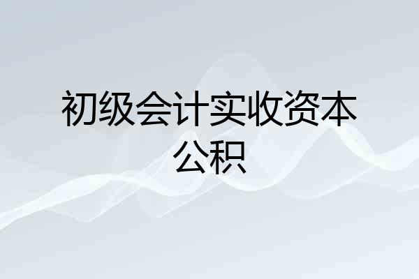 初级会计实收资本公积