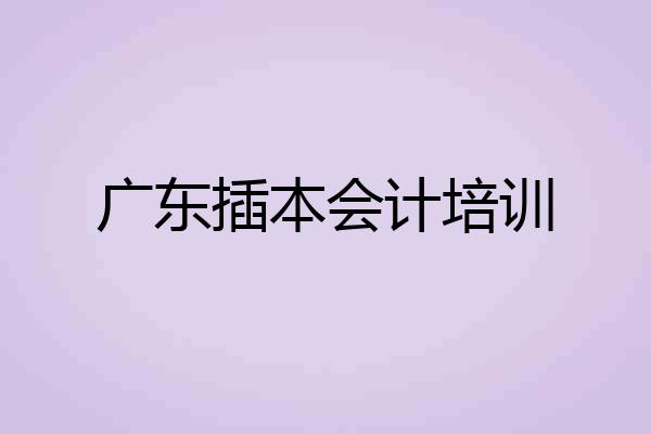 广东插本会计培训