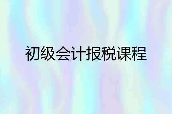 初级会计报税课程