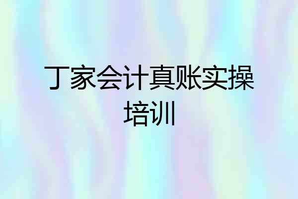 丁家会计真账实操培训