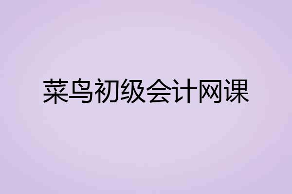 菜鸟初级会计网课
