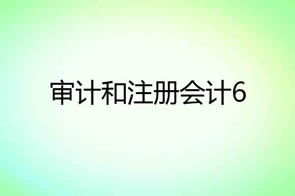 审计和注册会计6