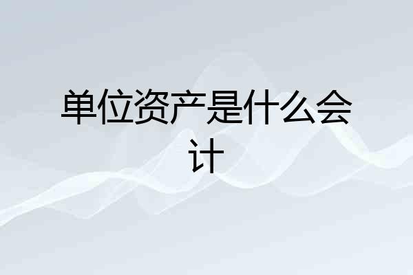 单位资产是什么会计