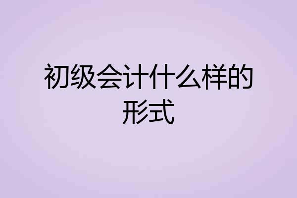 初级会计什么样的形式