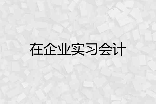在企业实习会计