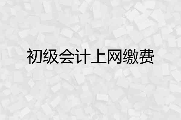 初级会计上网缴费