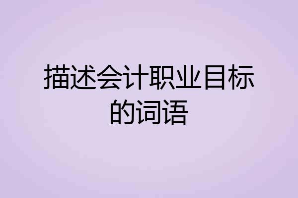 描述会计职业目标的词语