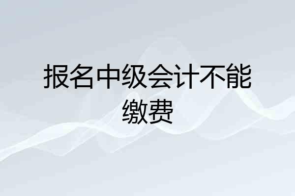 报名中级会计不能缴费