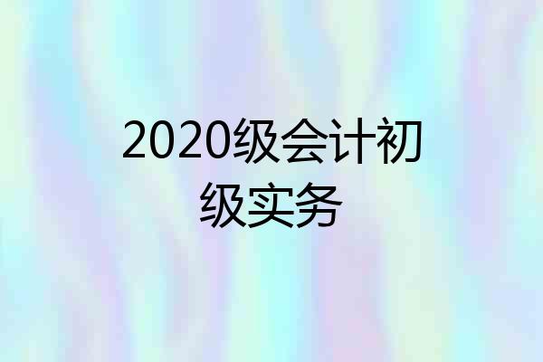 2020级会计初级实务