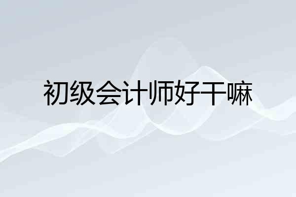 初级会计师好干嘛