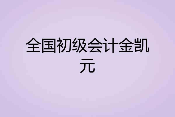 全国初级会计金凯元
