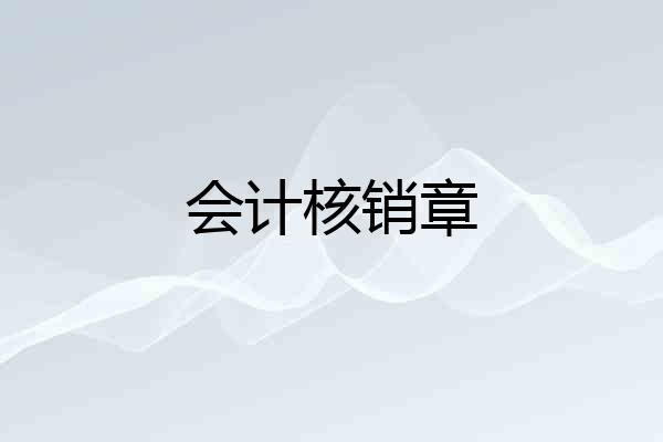 会计核销章