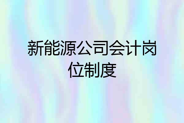 新能源公司会计岗位制度