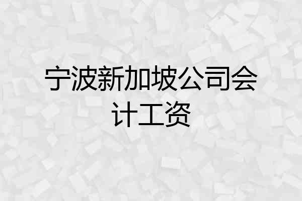 宁波新加坡公司会计工资