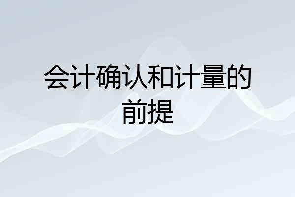会计确认和计量的前提
