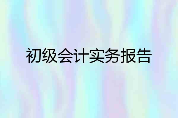 初级会计实务报告