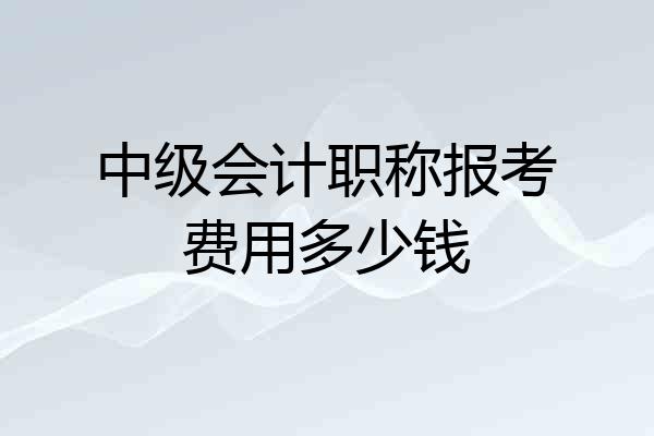 中级会计职称报考费用多少钱