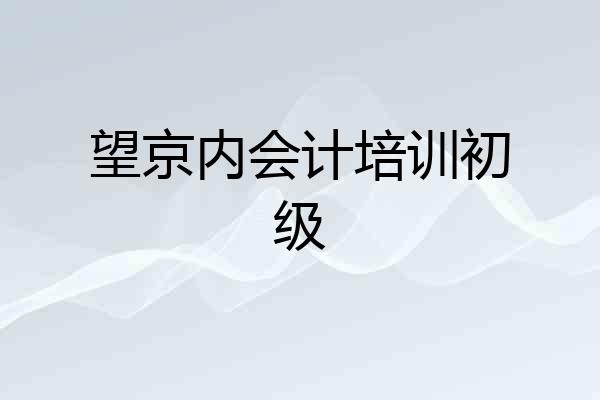 望京内会计培训初级
