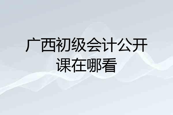 广西初级会计公开课在哪看