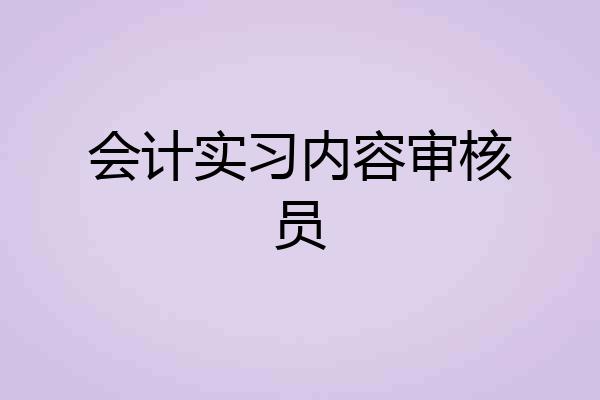 会计实习内容审核员
