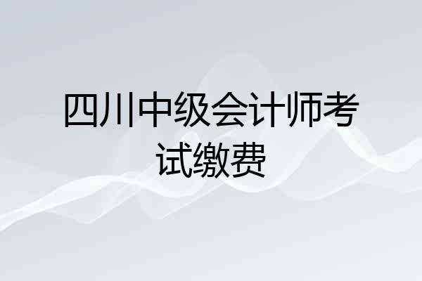 四川中级会计师考试缴费