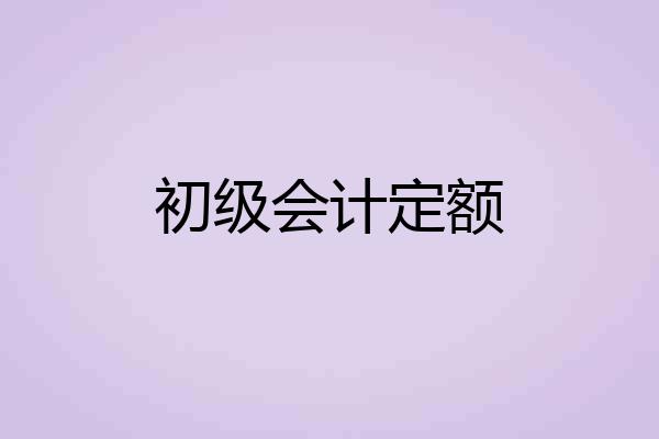 初级会计定额