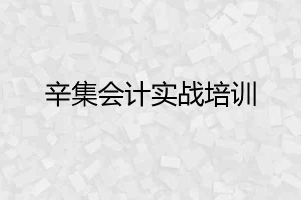 辛集会计实战培训