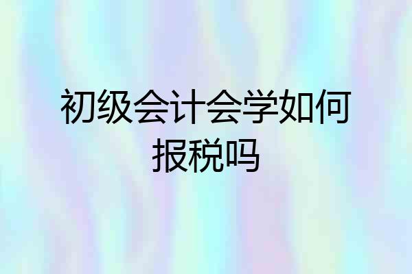 初级会计会学如何报税吗
